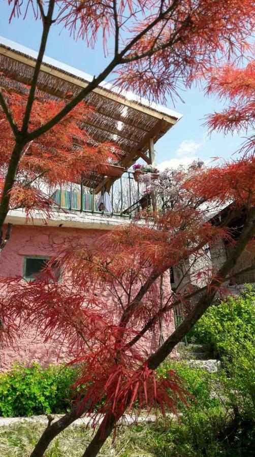 La Casa Rosa Di Segusino With Spa Jacuzzi In Garden Sequsino 외부 사진